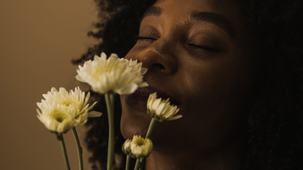 Transforming Trauma_ A Holistic Transforming Trauma_ A Holistic