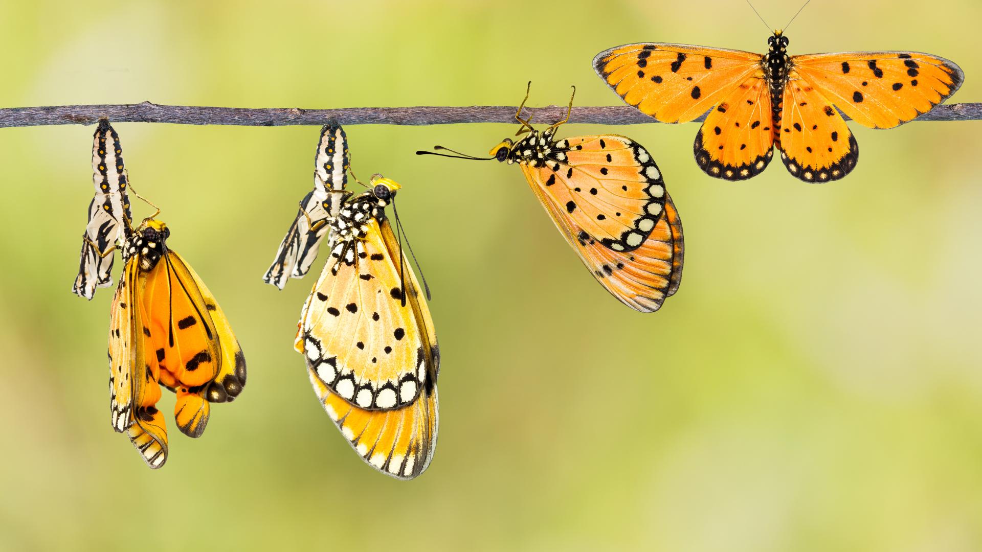 BLOG # 3 3. Healing Doesn’t Always Look Like Progress